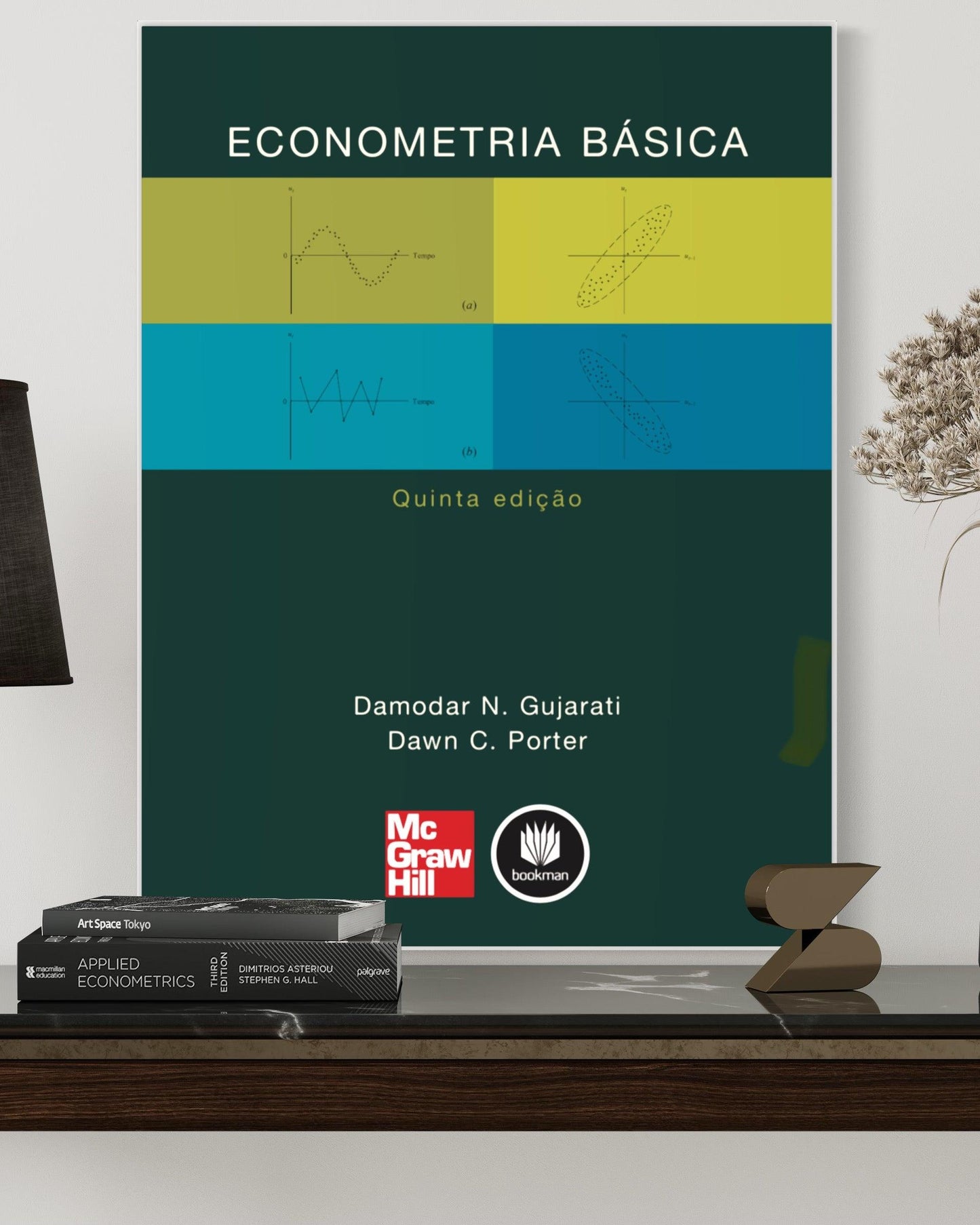 Econometria Básica - 5ª Edição - Estante Digital