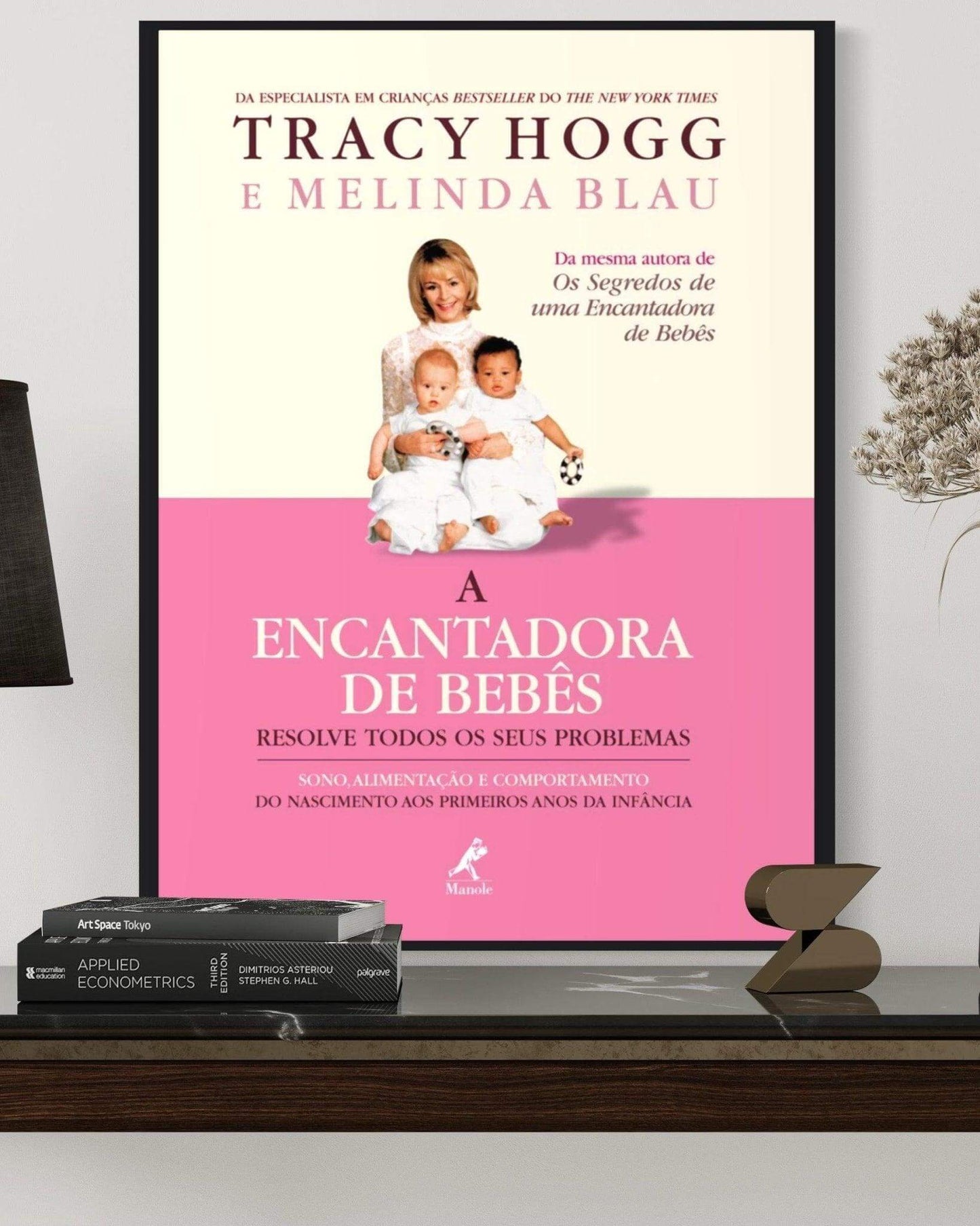 A Encantadora de bebês resolve todos os seus problemas - Tracy Hogg - Estante Digital