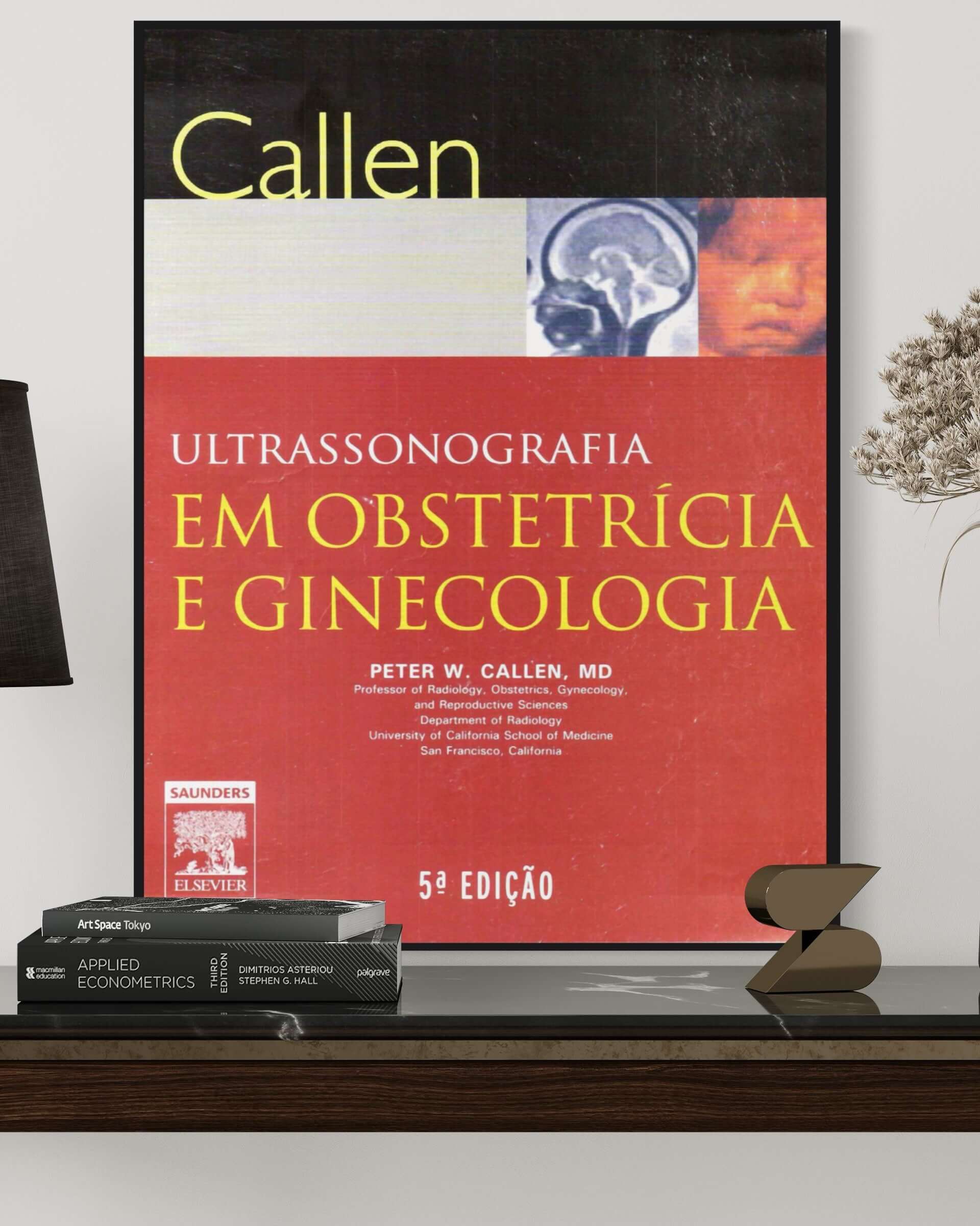 Callen Ultrassonografia Em Obstetrícia E Ginecologia - Estante Digital