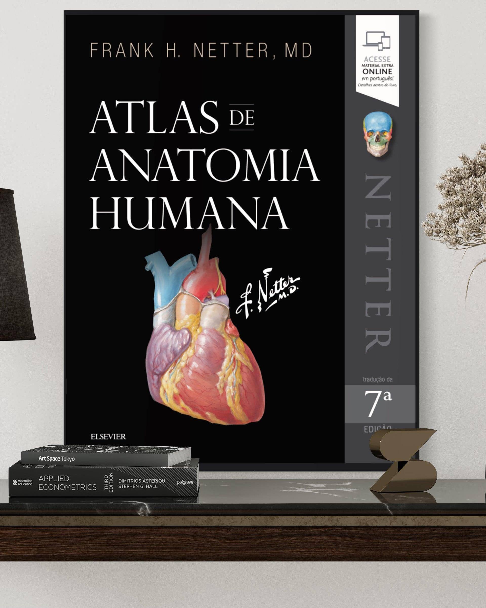 Atlas De Anatomía Netter Atlas De Anatomia Humana