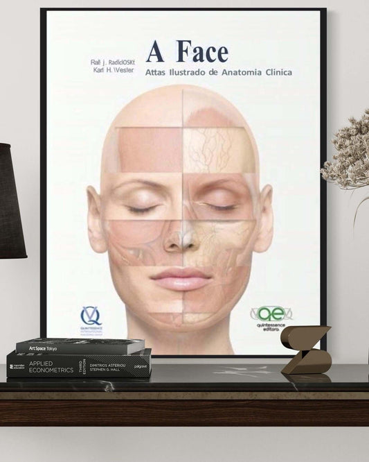A Face - Atlas De Anatomia - Radlanski - Estante Digital